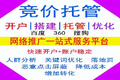 代理开户服务在海外投资中的应用案例
